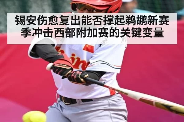 锡安伤愈复出能否撑起鹈鹕新赛季冲击西部附加赛的关键变量